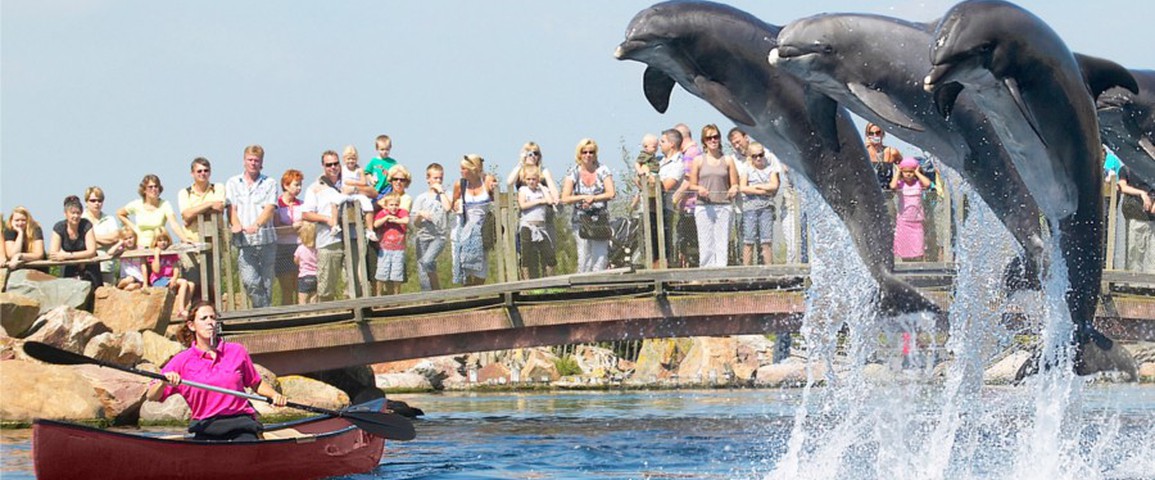 Dolfinarium Harderwijk