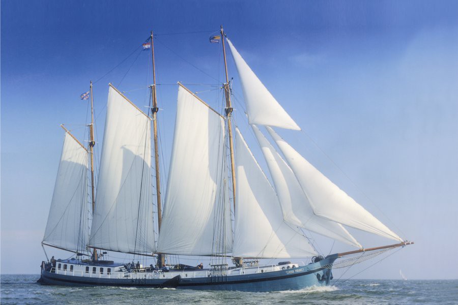 Detail image of Tsjerk Hiddes