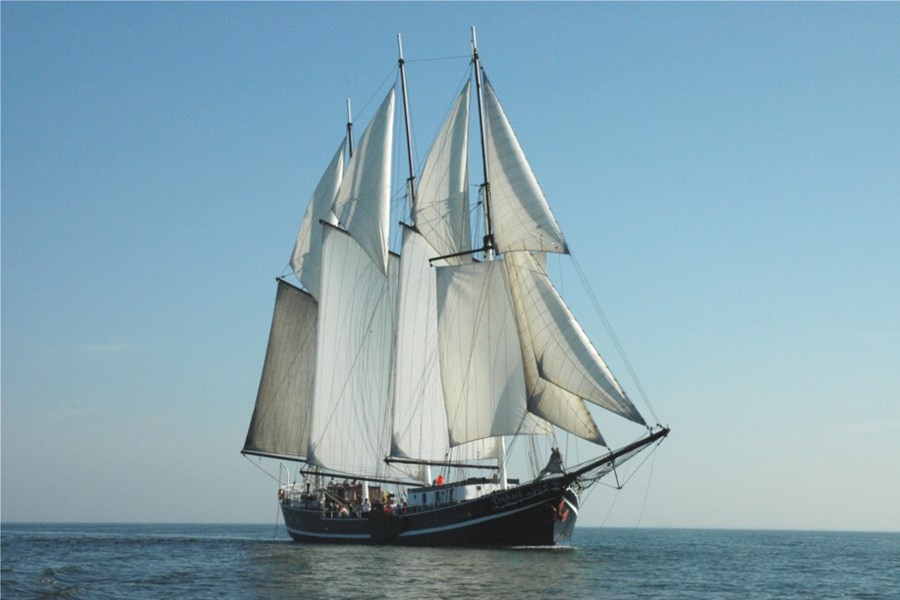Detail image of Vrijheid
