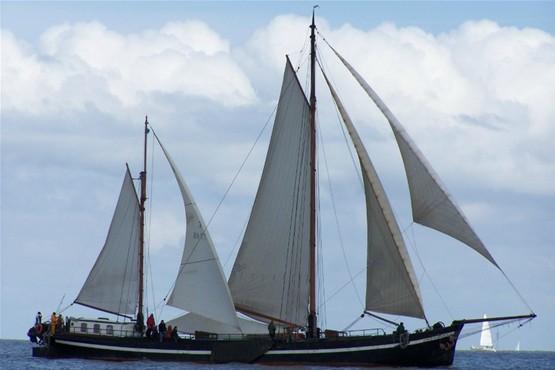 Palingroker Smit Bokkum
