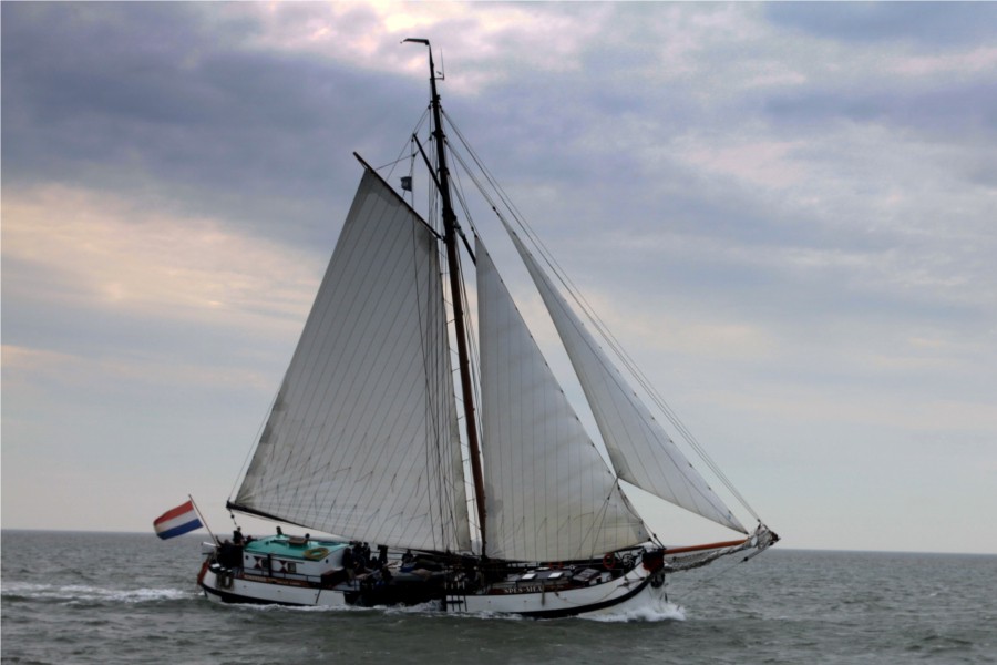 Detailafbeelding van Spes Mea