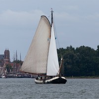 Blog - Ship Zorg met Vlijt