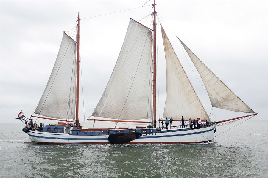Detailbild von Sterrenwind