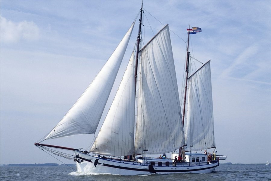 Detail image of Sperwer
