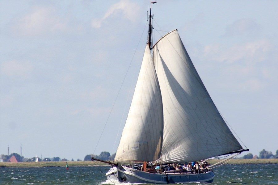 Detailafbeelding van Volharding