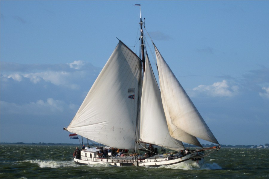 Detail image of Rival