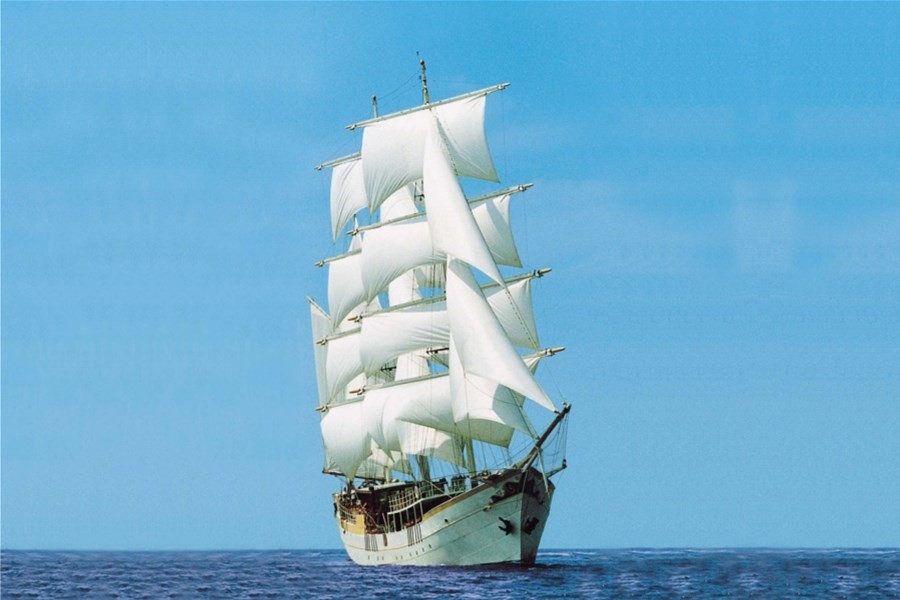 Detailafbeelding van Stedemaeght