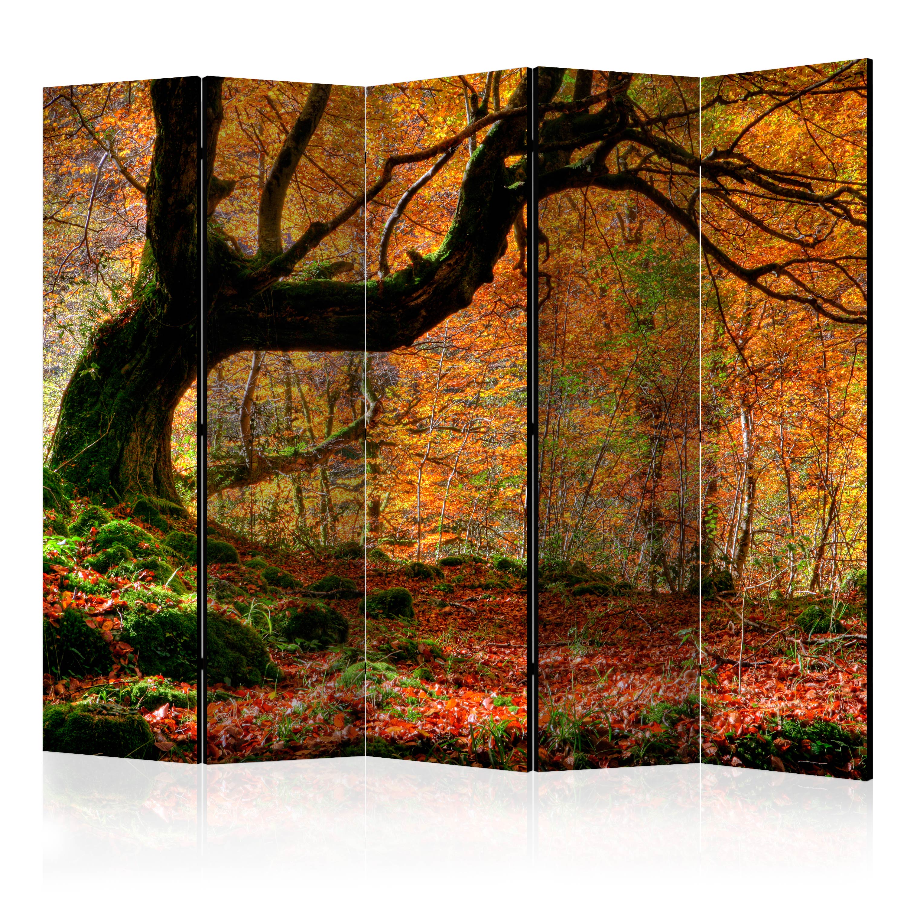 Paravan Artgeist, Autumn, forest and leaves II, 5 parti- 2.25 x 1.72 m