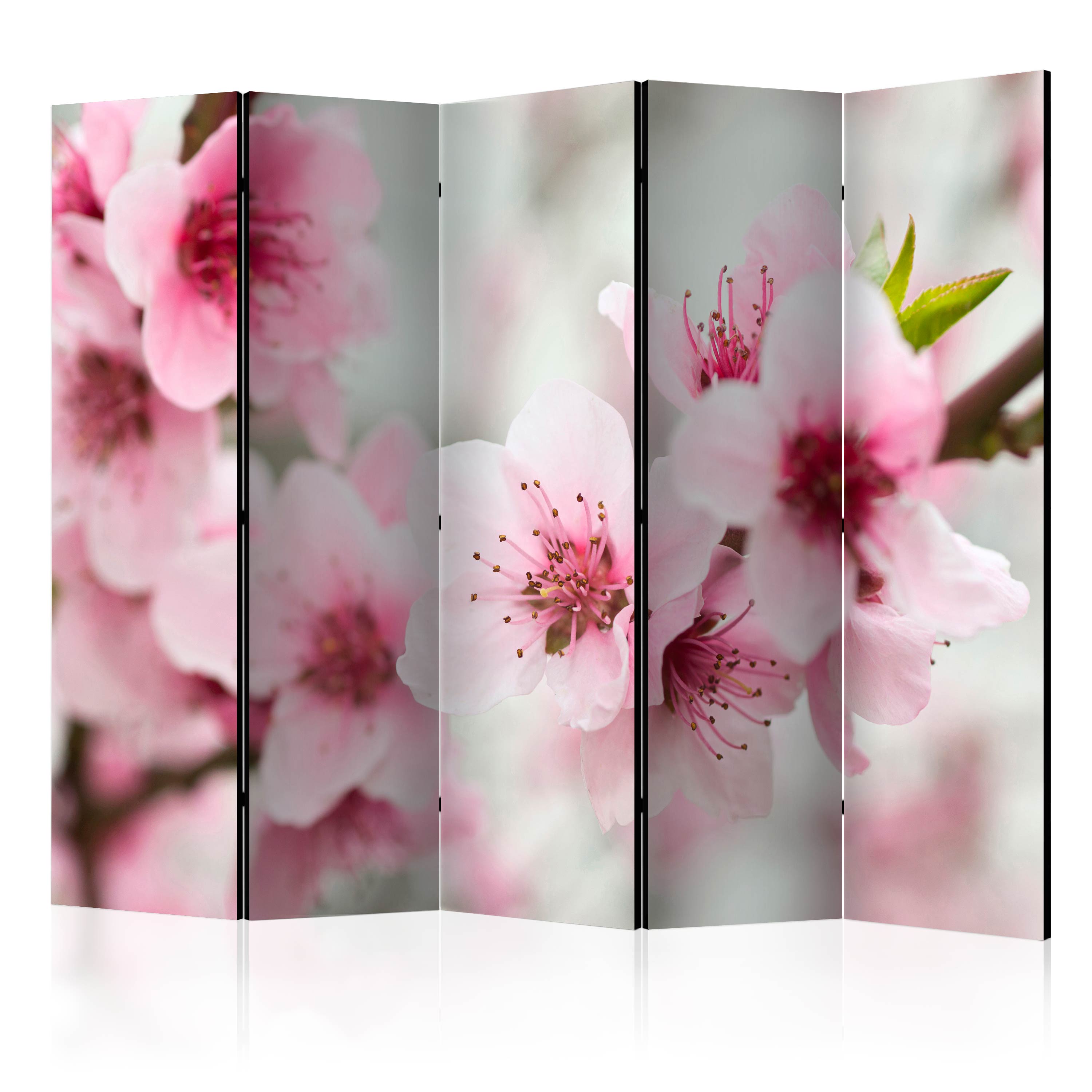 Paravan Artgeist, Spring, blooming tree pink flowers II [Room Dividers] - 2.25 x 1.72 m