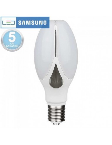 36W Bec LED -Chip SAMSUNG E27 Olive Lampa 110lm/WATT 6400K