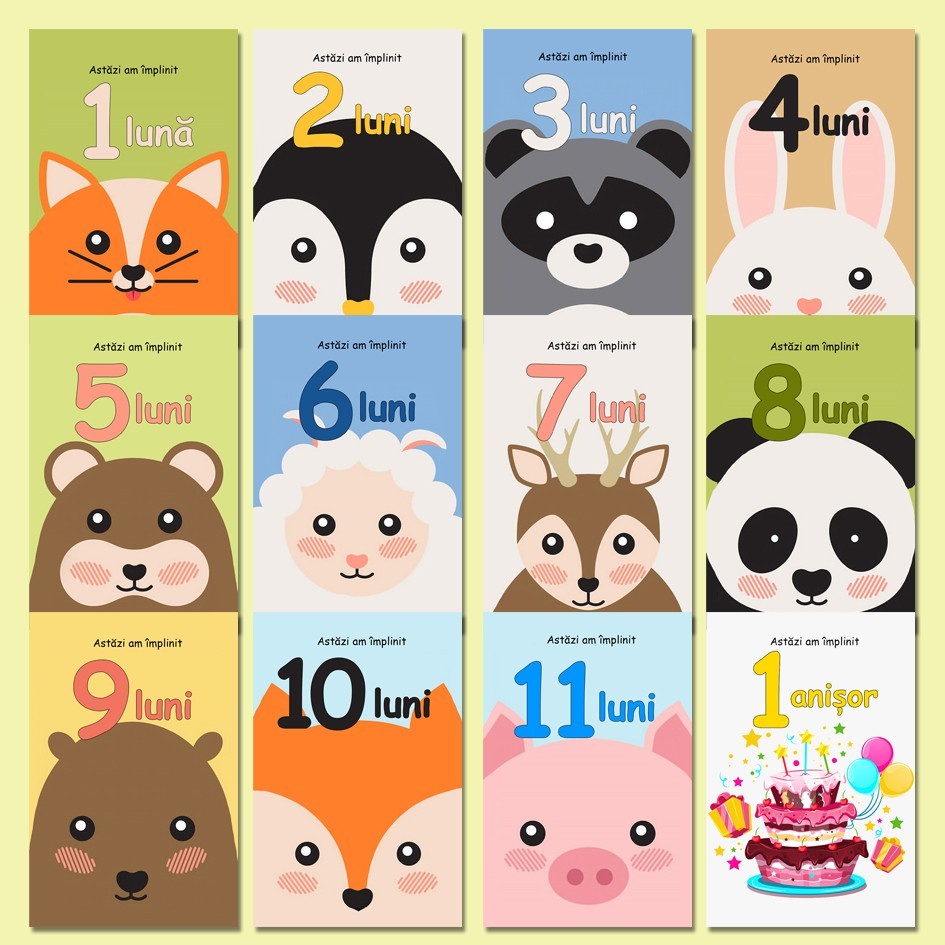 Set 50 cartonase pentru nou-nascut "Primul meu anisor", 10X6, Baby Milestone