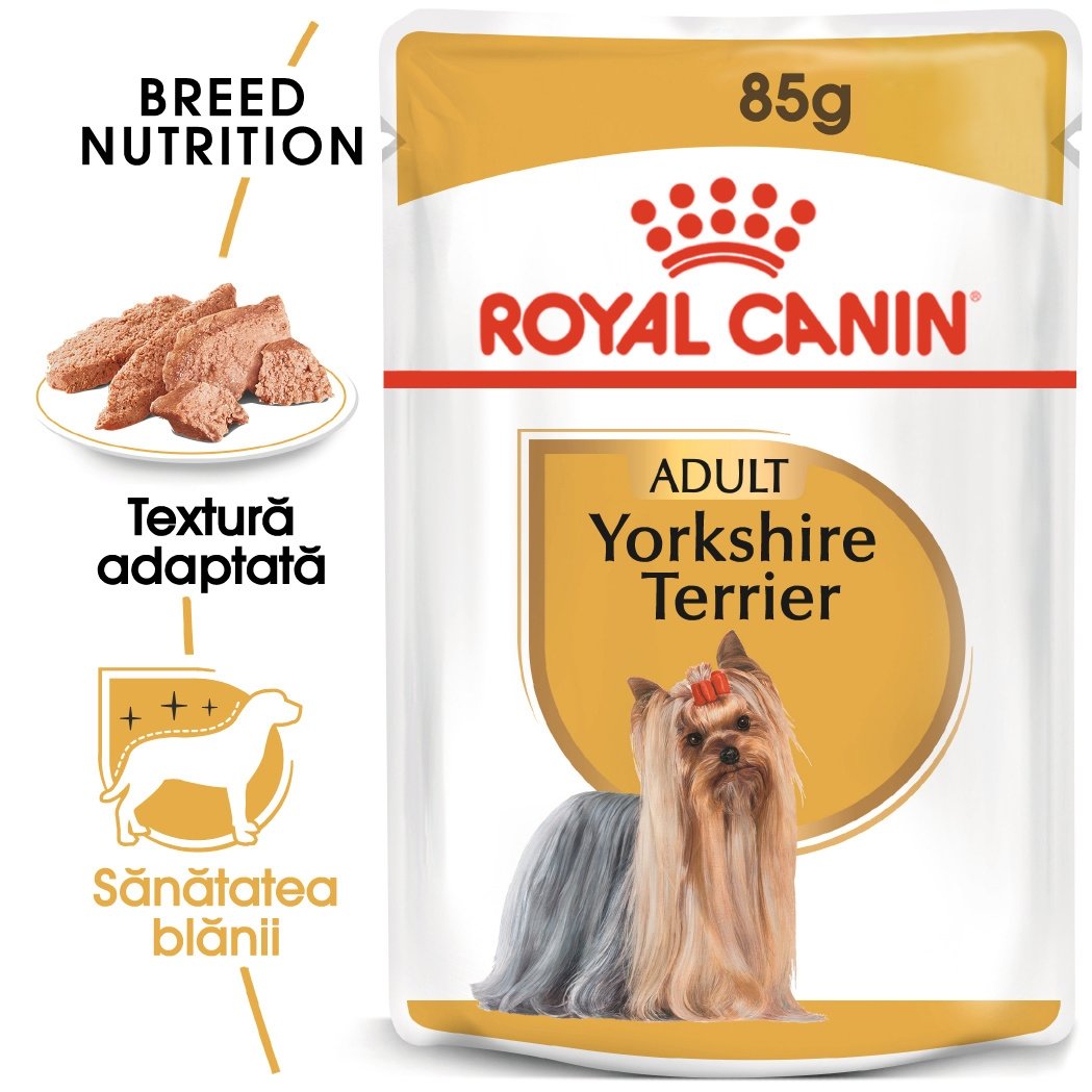 caini yorkshire terrier mini toy de vanzare Hrana Umeda Caini, ROYAL CANIN, Yorkshire Terrier Adult, 85g