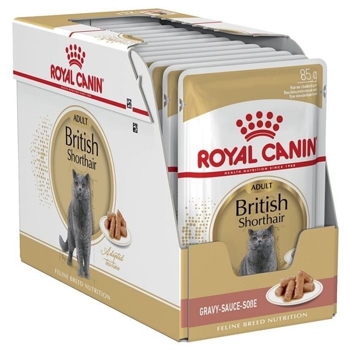 Royal Canin British Shorthair Adult, bax hrană umedă pisici, (în sos), 85g x 12