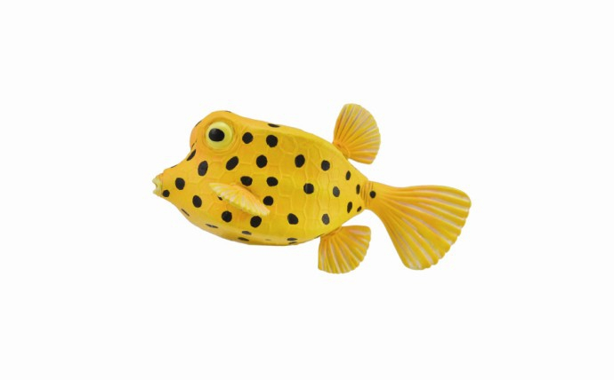 Peste Cubicus Boxfish S - Animal figurina